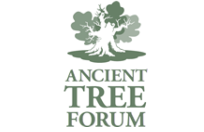 Ancient Tree Forum